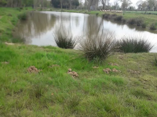 Plan d'eau Vente Vouhé 30000€