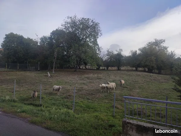 Vente Terrain à bâtir non viabilisé
