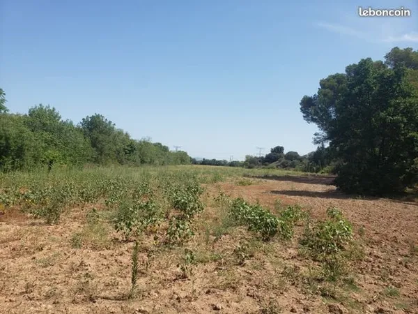 Terrains agricoles bio irrigables