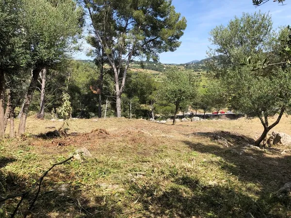 Terrain 871 m² à La Cadière d'Azur 83740