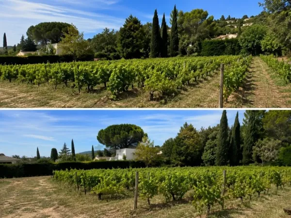 Terrain 914 m²