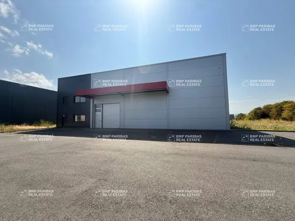 Local d'activité 1130 m²