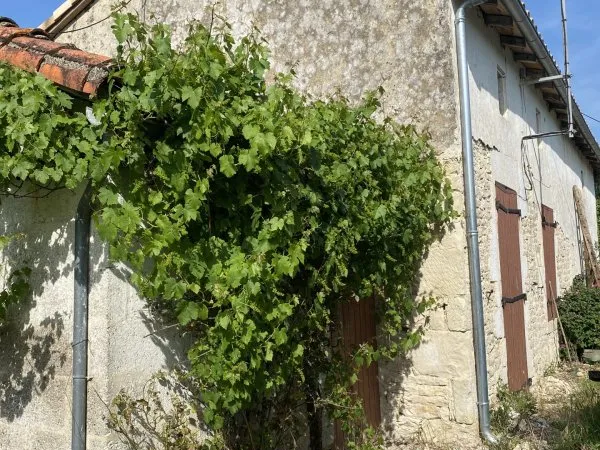 Maison 1 pièce 150 m²
