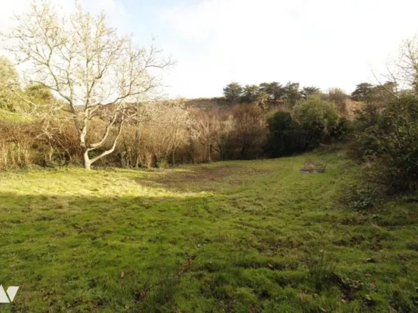 Terrain 1581 m²