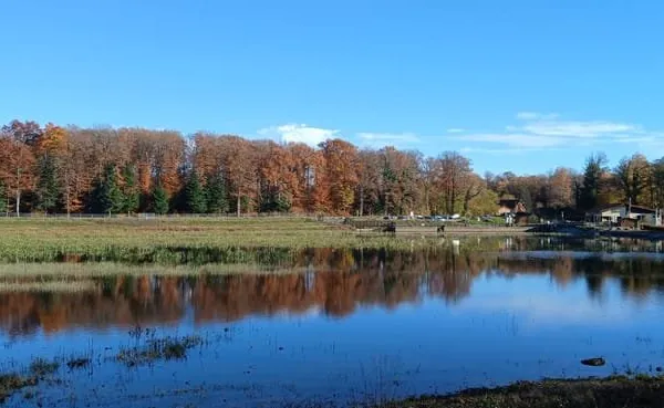 Vente superbe étang d'env 4,5 ha en eau sur un terrain total de 7,38 ha LEVAL (90)