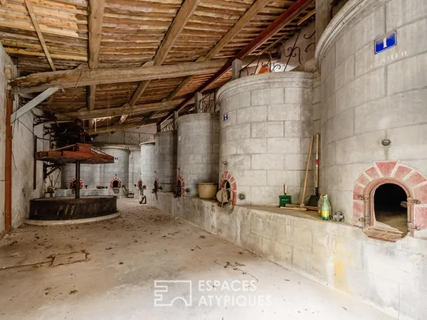 L'âme d'une ancienne remise viticole : un potentiel de réhabilitation unique aux portes de Narbonne