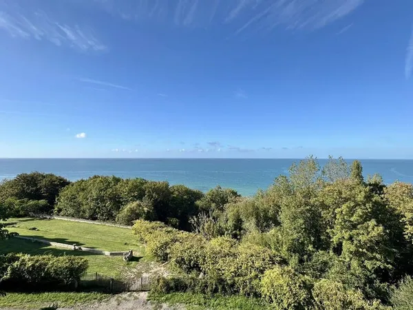 Appartement 1 pièce 43 m²