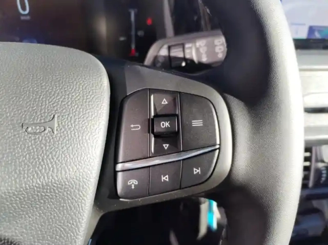 Ford Transit Courier fourgonnette 1.0 ecoboost 125ch cabine approfondie trend dct7 — photo 21