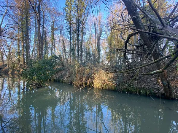Terrain Olivet 3800 m2