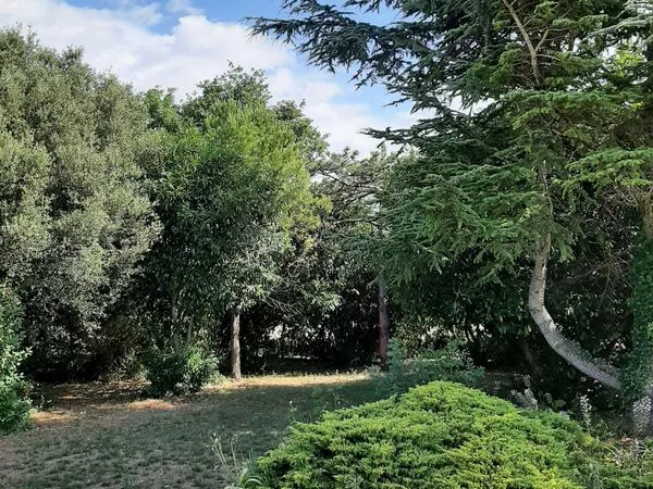 Location meublee