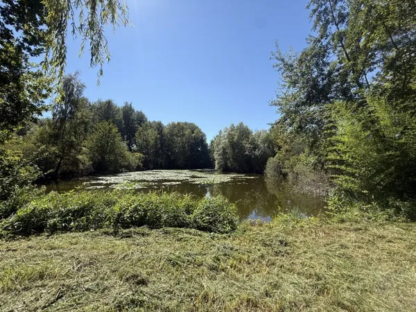 MOREUIL - CASTEL - ETANG - DEPENDANCE