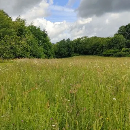 Terrain 2352 m² Juillac
