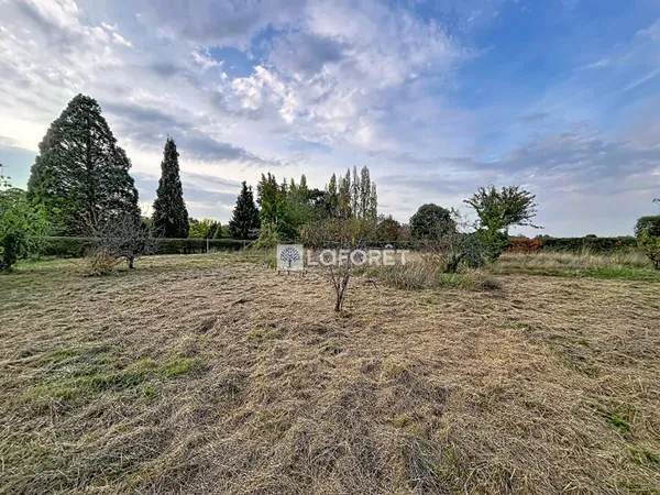 Terrain 1288 m²