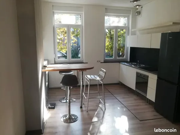 Loue appartement 35 m2 à 100m station Mons Sart