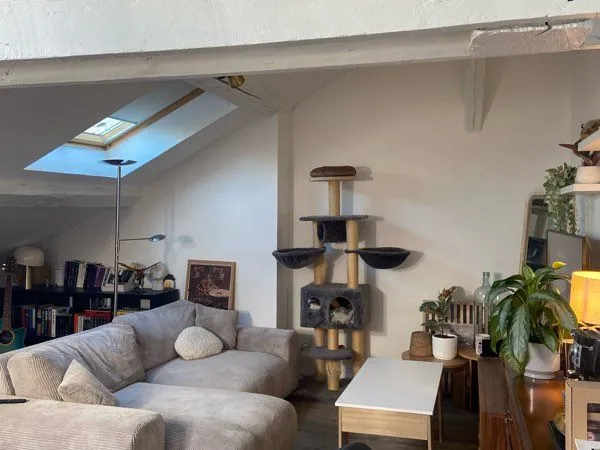 Appartement 2 pièces 50m2