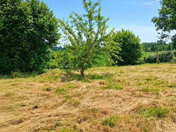 Terrain constructible et bâtisse