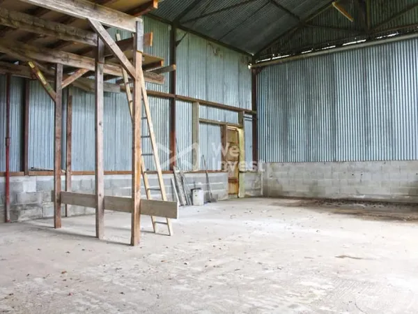 Local 166 m²