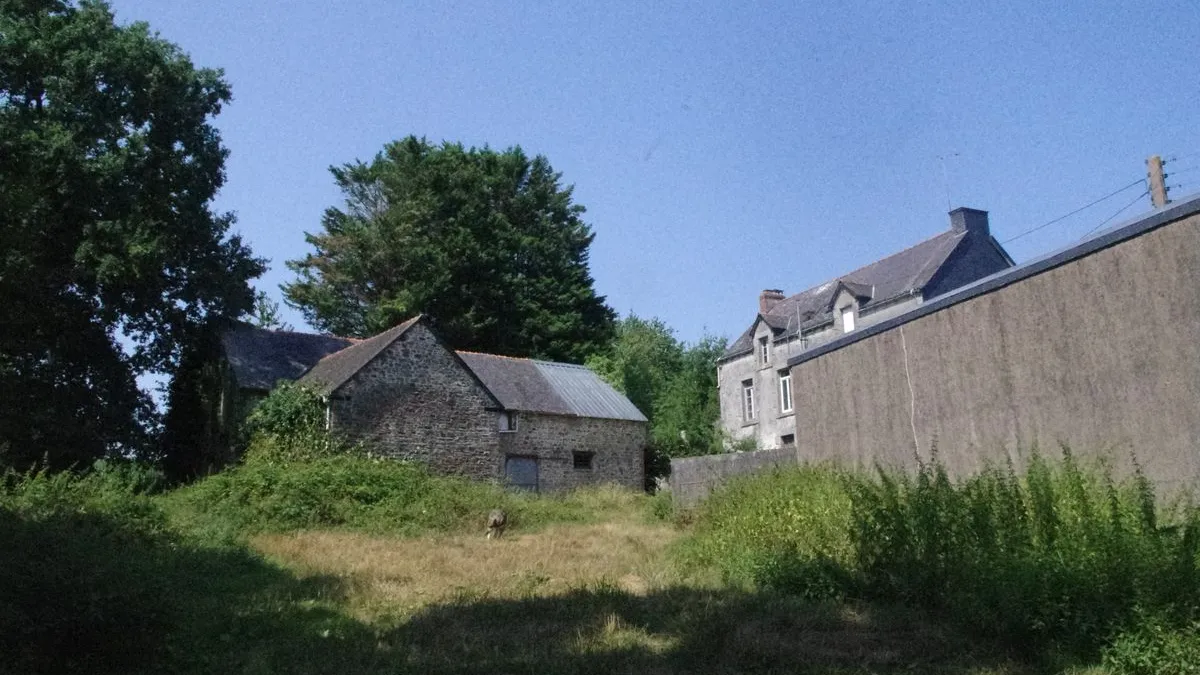 Photo 2
