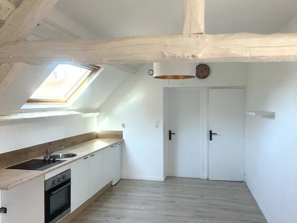 Appartement type loft à louer