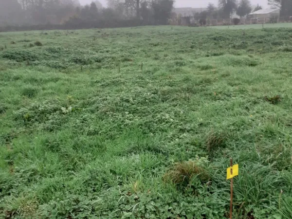 Terrain 2338 m²