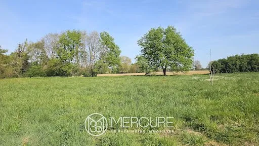 Terrain 2289 m²
