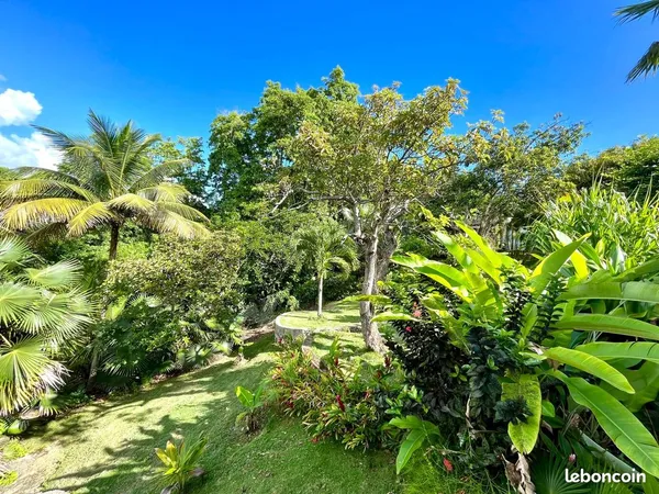 🌿 Domaine de gîtes - Villa + 5 gîtes + locaux - Sainte-Anne,- Rare