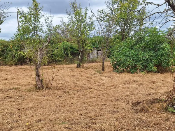 Terrain 1383 m²