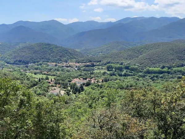 Terrain 17646 m² Reynès
