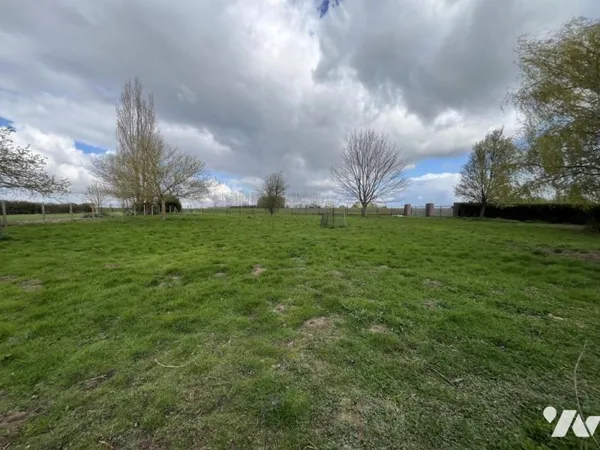 Terrain 1311 m²