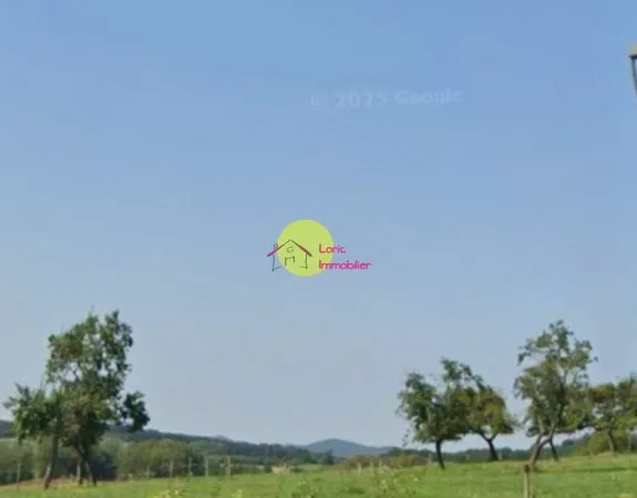 Terrain 490 m²