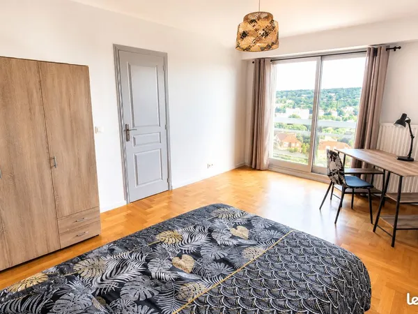 Belle colocation proche Fonderie, Gare et Commerces, vue époustouflante sur Mulhouse
