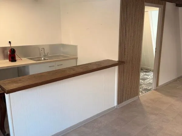 Appartement F3 familial en plein centre