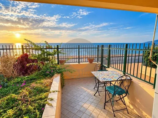 Appartement 1 pièce 20 m²