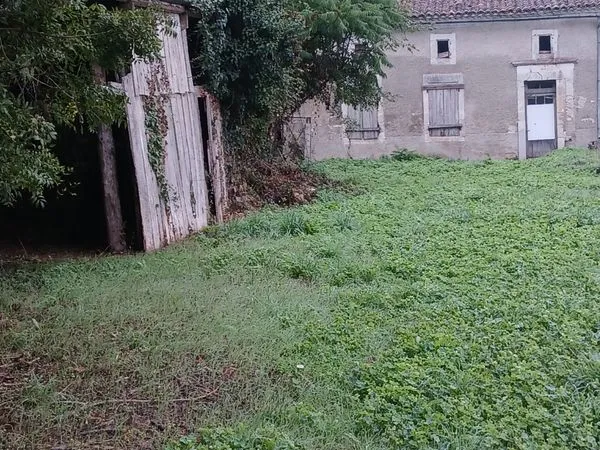 Maison pierre à restaurer