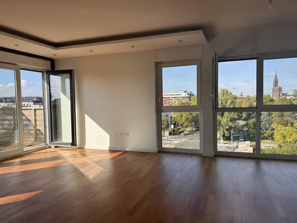 COUP DE COEUR A STRASBOURG -VUE PANORAMIQUE EXCEPTIONNELLE