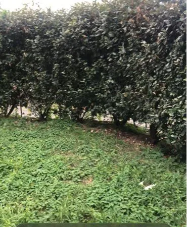 Appartement en rez de jardin