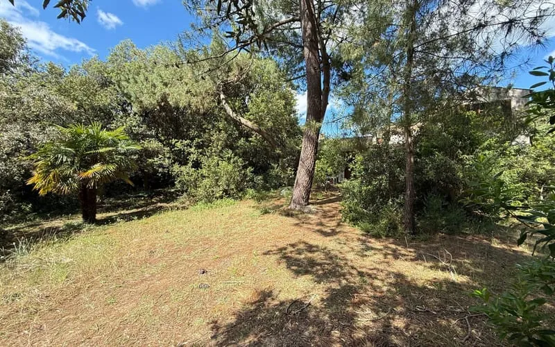 Photo 43