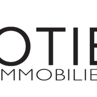 Lotier Immobilier