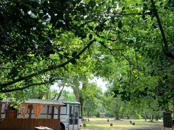 Location meublée temporaire - Magic Bus - Belin-Béliiet