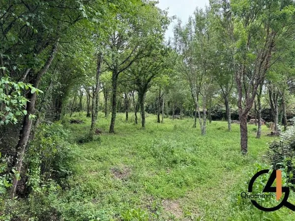 Terrain constructible 1350 m²