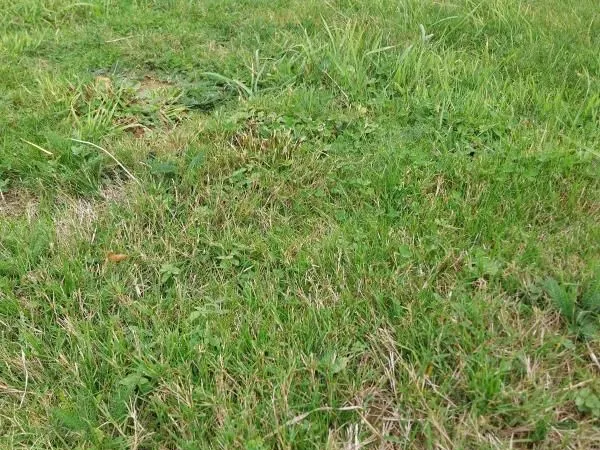 Terrain 274 m² Tregueux