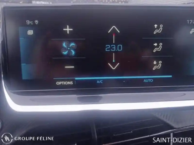 Peugeot 208 1.2 puretech 100ch s&amp;s roadtrip 118g — photo 15