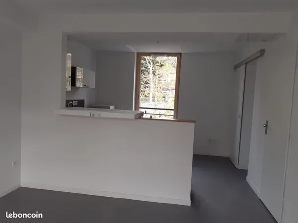 Duplex 90m2 Cours Fauriel