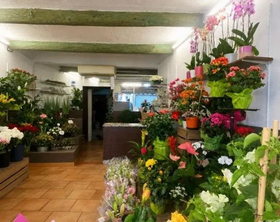 Vente fonds de commerce fleuriste 13290 les milles