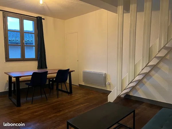 Appartement Duplex T3 meublé très lumineux quartier Vienne Cathédrale