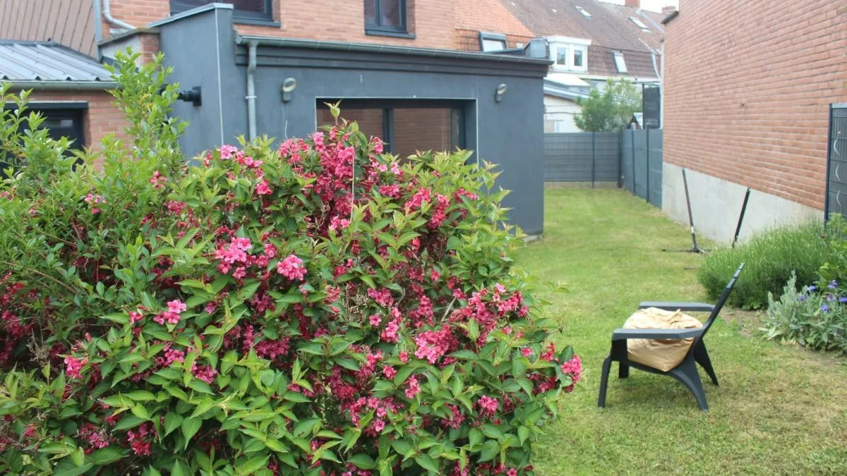 Photo 3