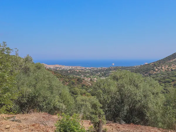 Terrain 4000 m²