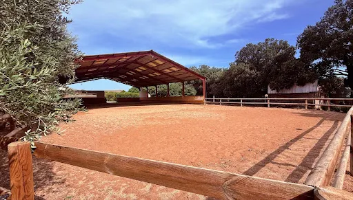 Propriété 5 pièces 140 m²