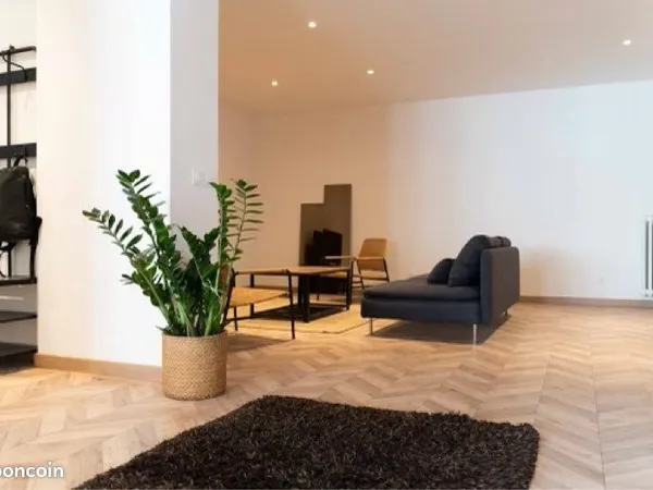 Colocation Neuve 160m2 pour seulement 4 chambres Quartier calme et recherché Chalucet/Claret/Hôpital