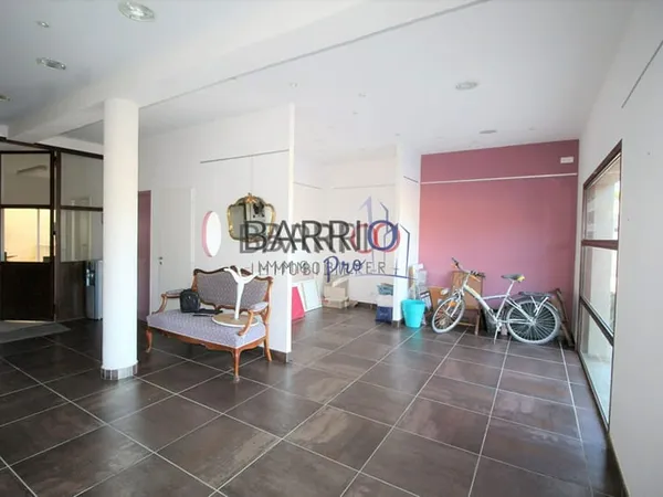 Local mixte 6 pièces 225 m²